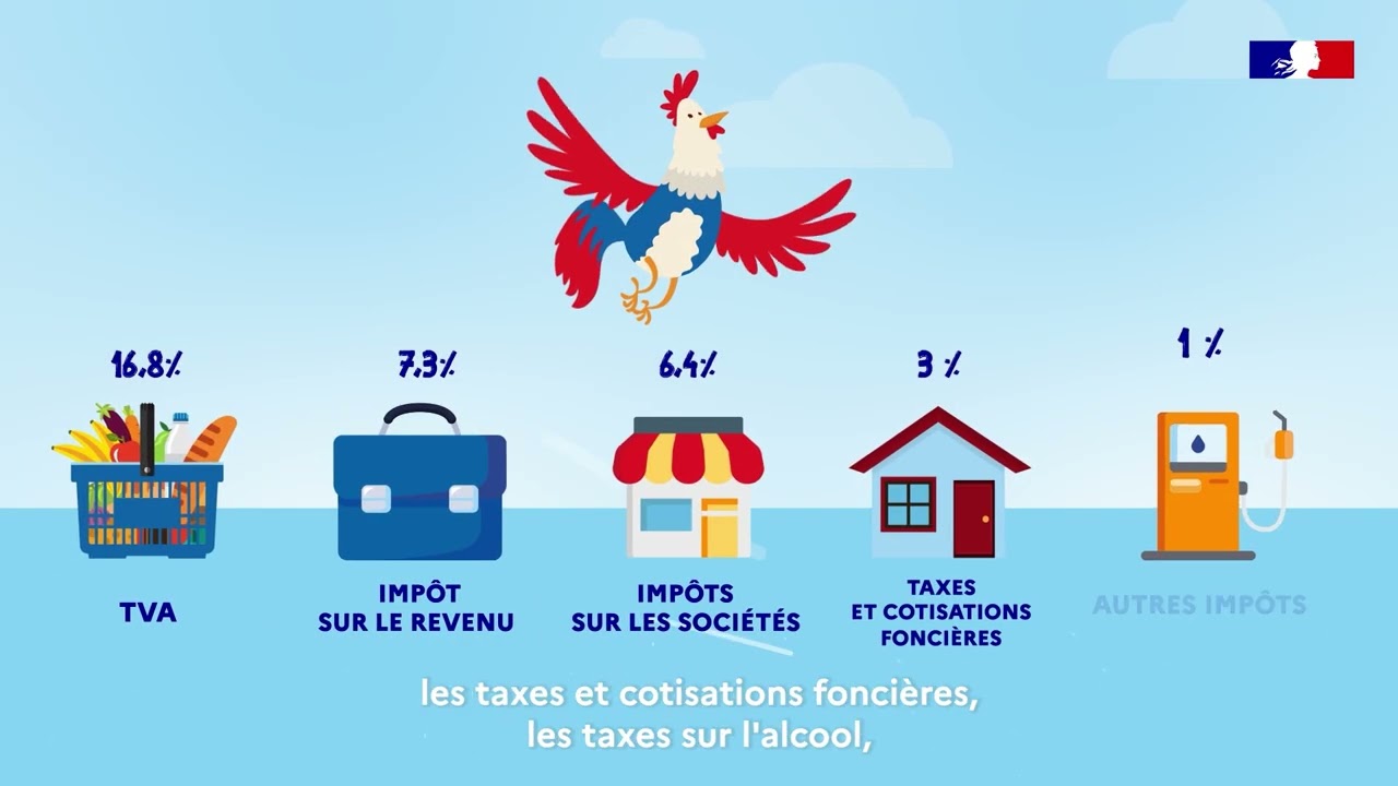 Budget de la France : aux chiffres citoyens !