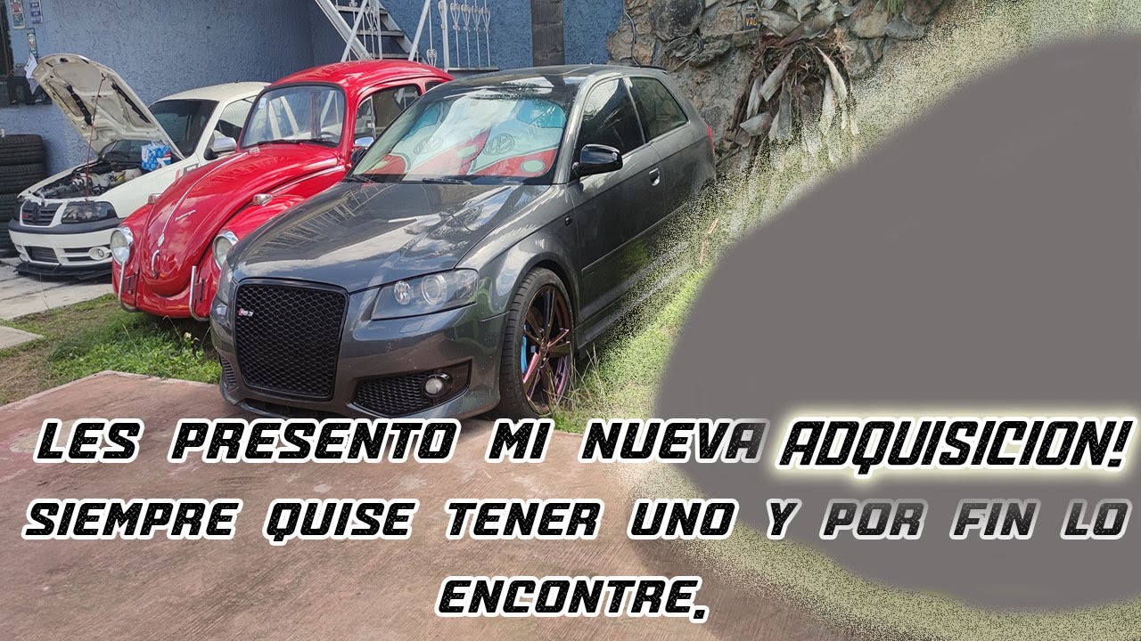 LES PRESENTO TODOS MIS VAGs|| MI NUEVO NEGOCIO Y MI NUEVO AUTO🔥|| NESTOR VAG ZONE