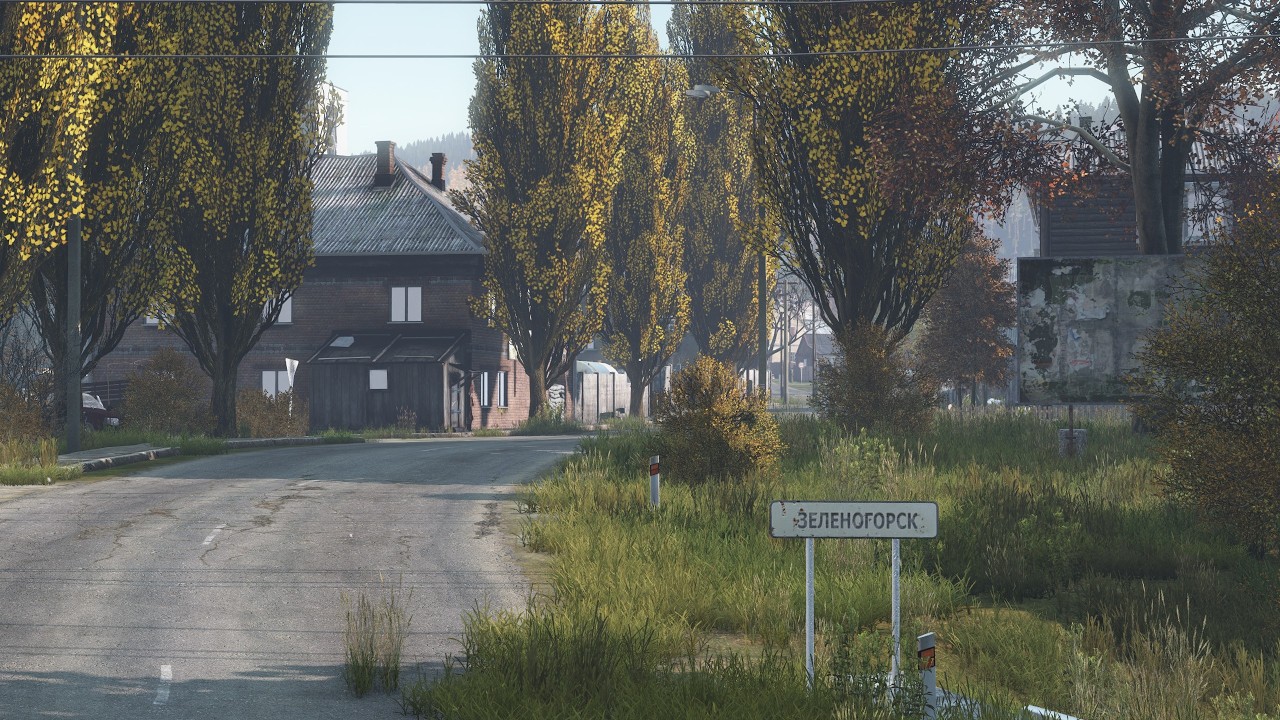 DAYZ