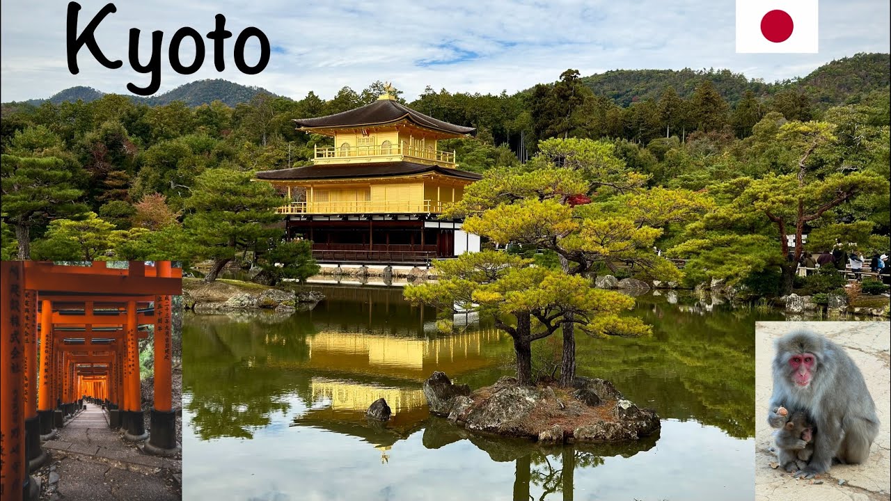 4 Tage in Kyoto - Tempel, Schreine, Bambuswälder & mehr | Kyoto | Japan-Reise (6/11) - Vlog 2025
