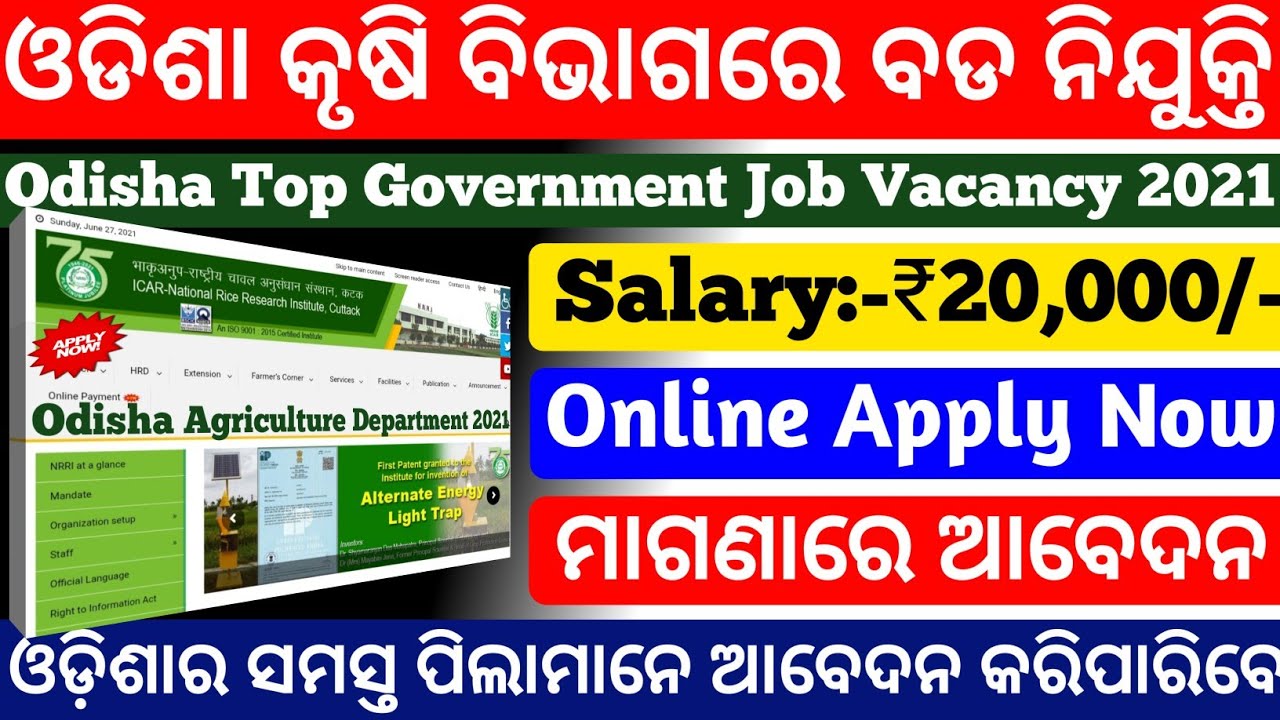 Odisha Agriculture Department Vacancy 2021|Free Apply|Odisha Govt Jobs 2021|Odisha job vacancy 2021