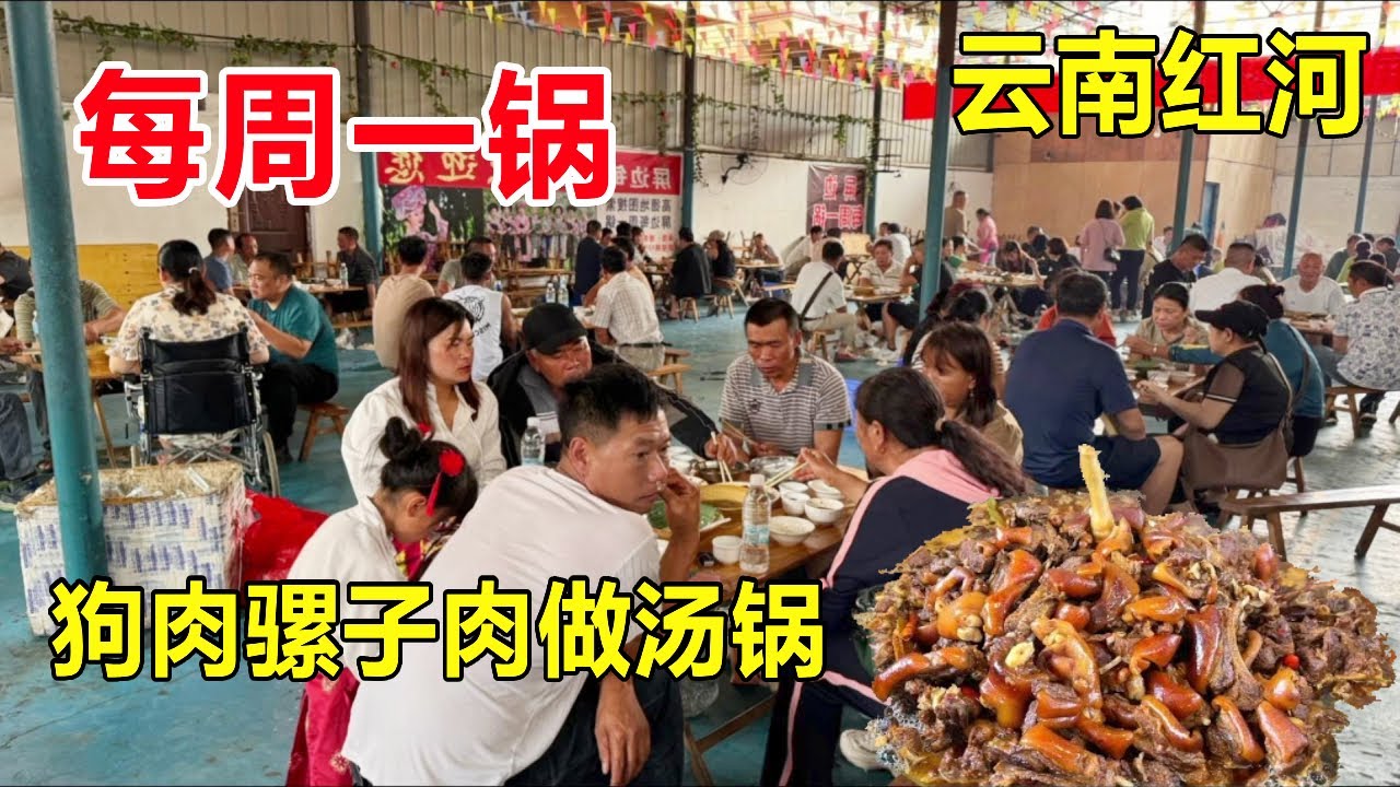 云南红河，苗乡屏边吃每周一锅，大盆狗肉、骡子肉，一周只卖一天挤满人 #麦总去哪吃