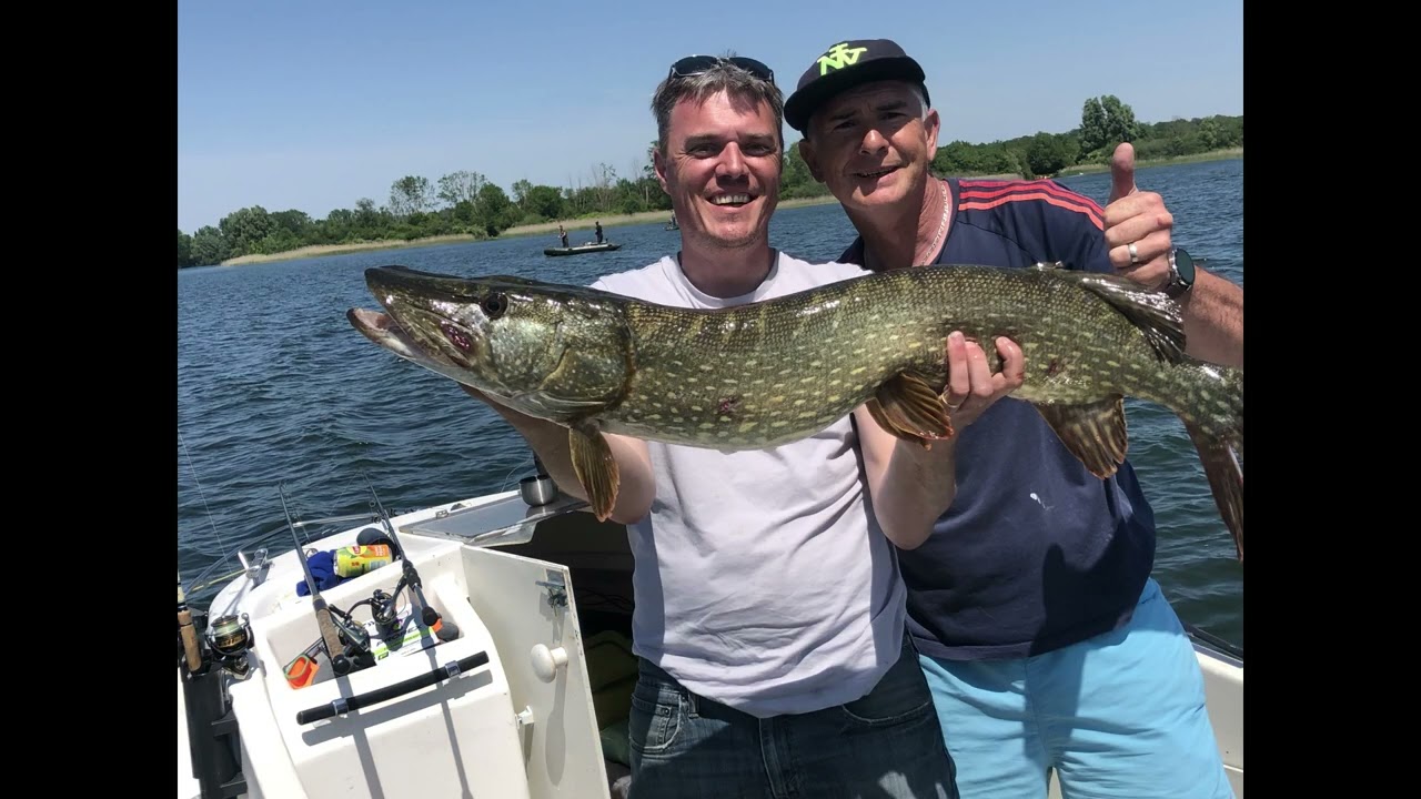 ESOX MADINE MAI 2023