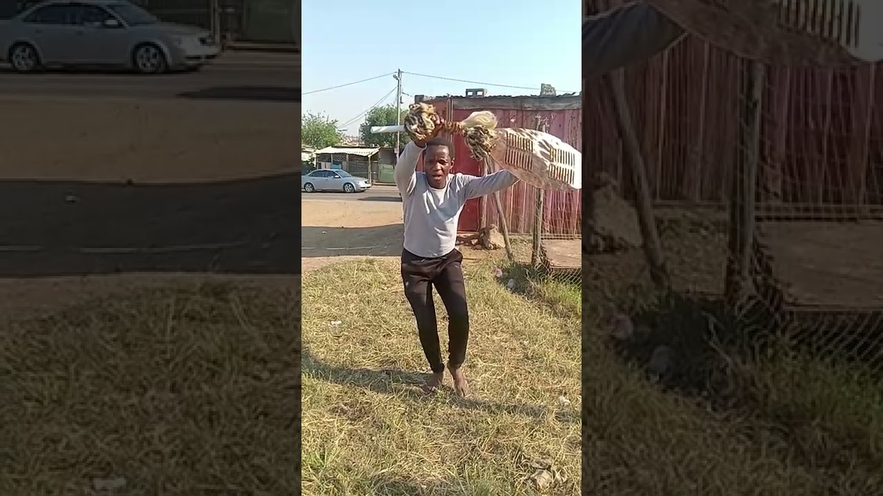 ⚡ ISIHLABELELO 155, sisinelwa kanje.