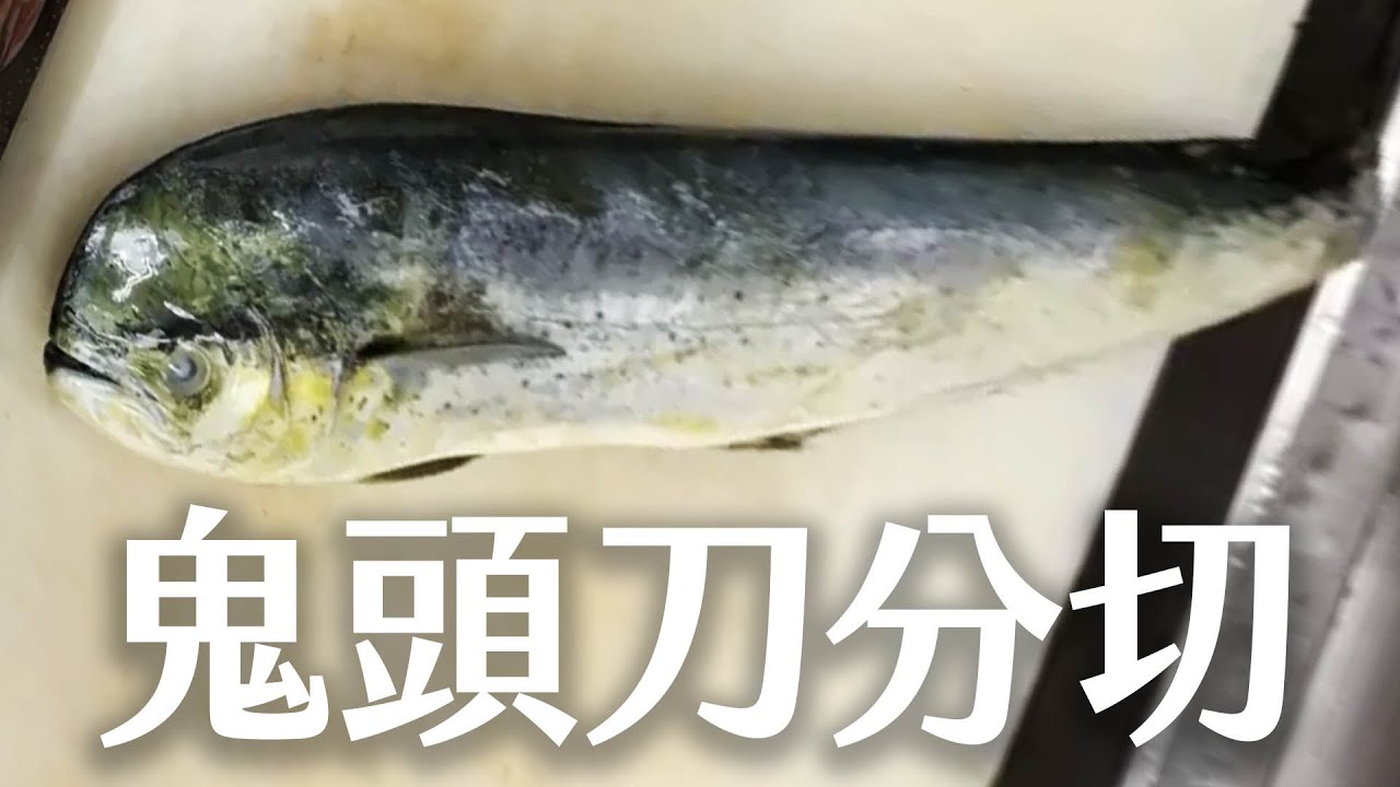 【海洋主廚愛爾文魚類處理】如何分切鬼頭刀？｜How to cut the Dolphin fish?