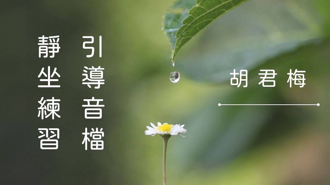 正念靜坐練習：身體為一個整體（body as a whole)｜帶領者：胡君梅創辦人｜華人正念減壓中心