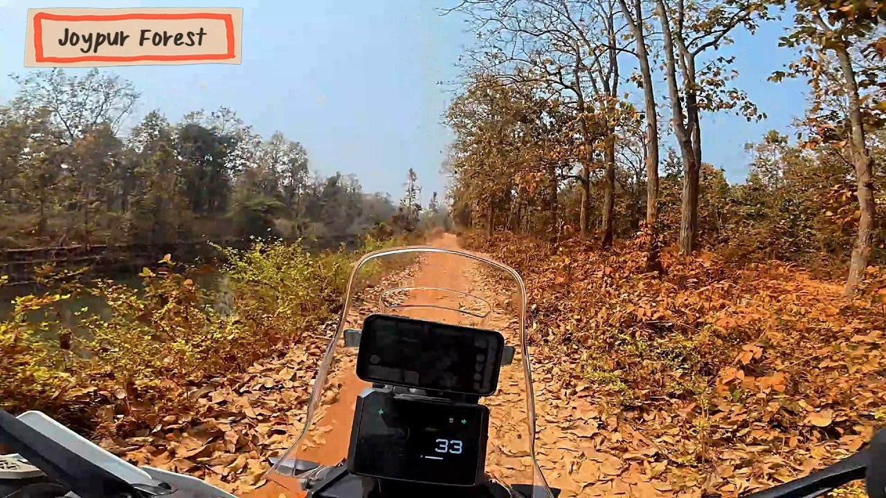 One Day Ride to Joypur Forest