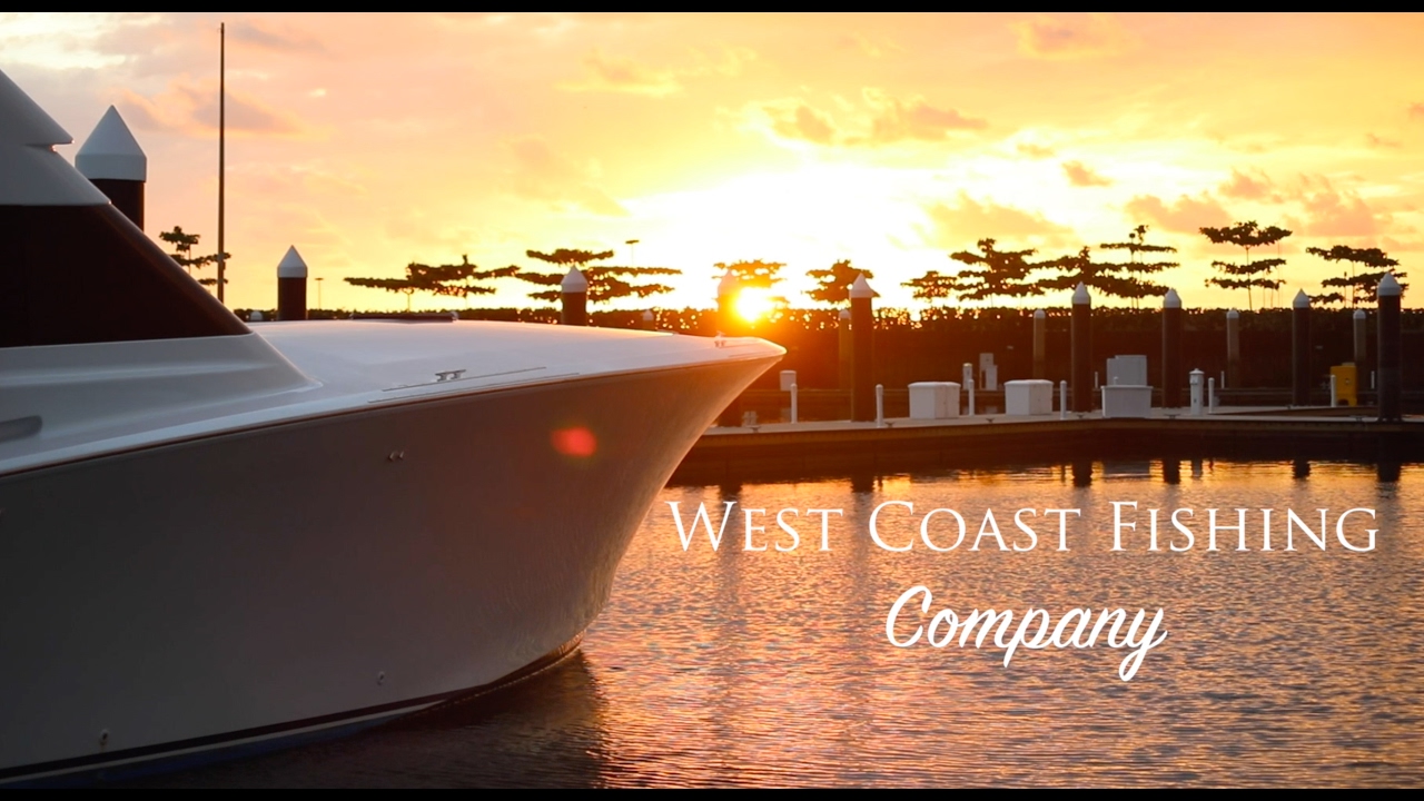 Blue Marlin Fishing Costa Rica. 