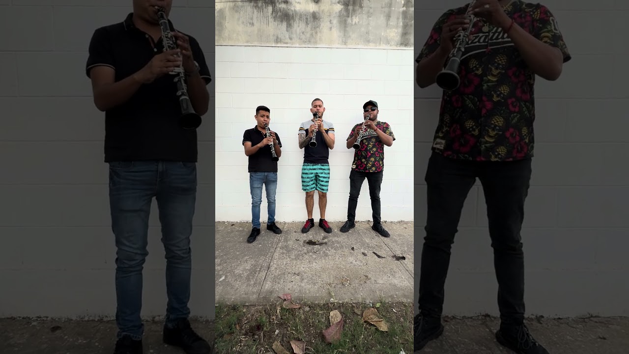 YA TE VI YO YA ME VOY - BANDA TRADICIÓN SINALOENSE DE RODOLFO ACOSTA 