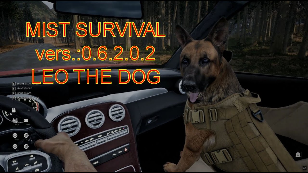 MIST SURVIVAL (vers:0.6.2.0.2) LEO THE DOG
