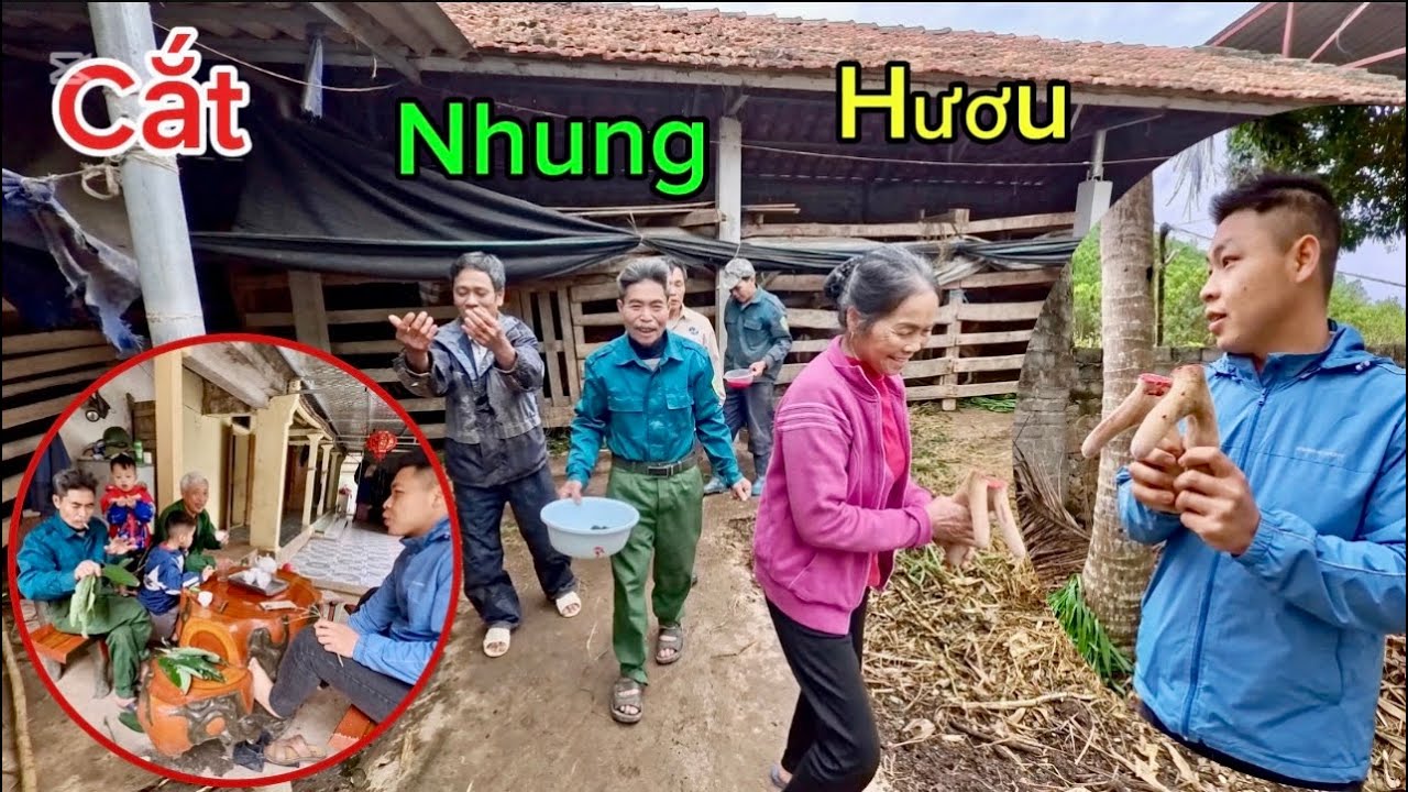 Lên Nhà Bác Thứ Xem Cắt Nhung Và Lần Đầu Xem Cách Chế Biến Nhung Hươu | HUY ANH TV