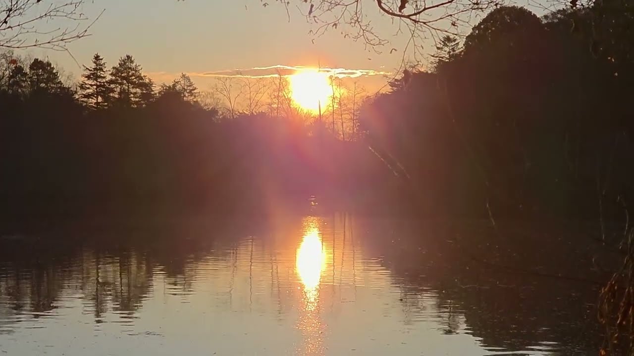 260308石神井公園