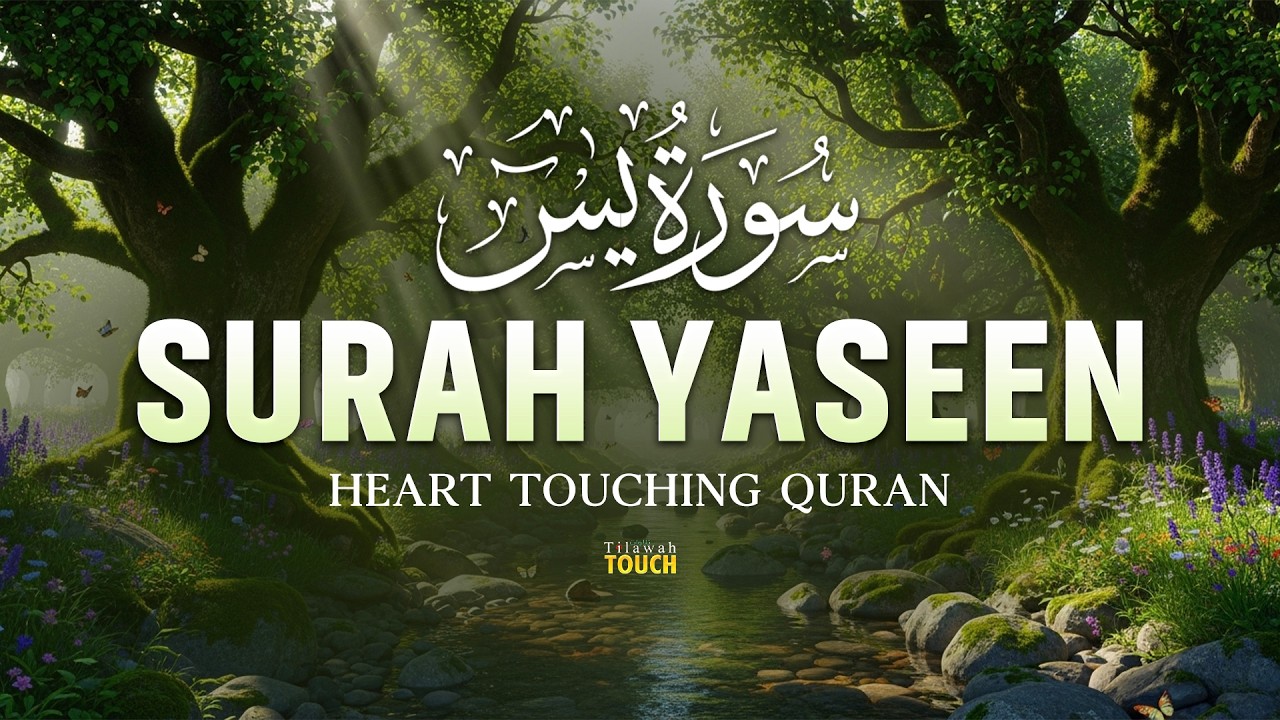 Surah Yaseen سورة يس | Heart Touching Quran Tilawat with Peaceful Voice | Recited by Alaa Aqel
