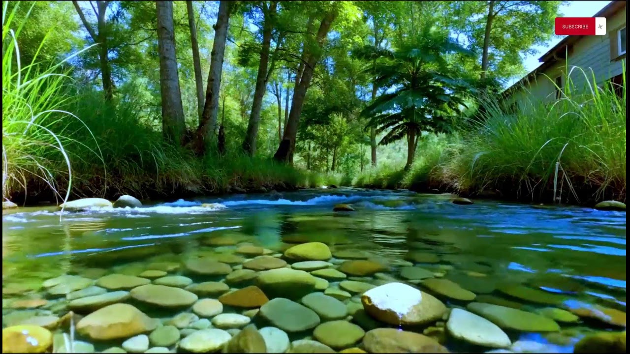 Soothing Spa Ambience — Calming Piano & River Water for Stress Relief | 10 Hours