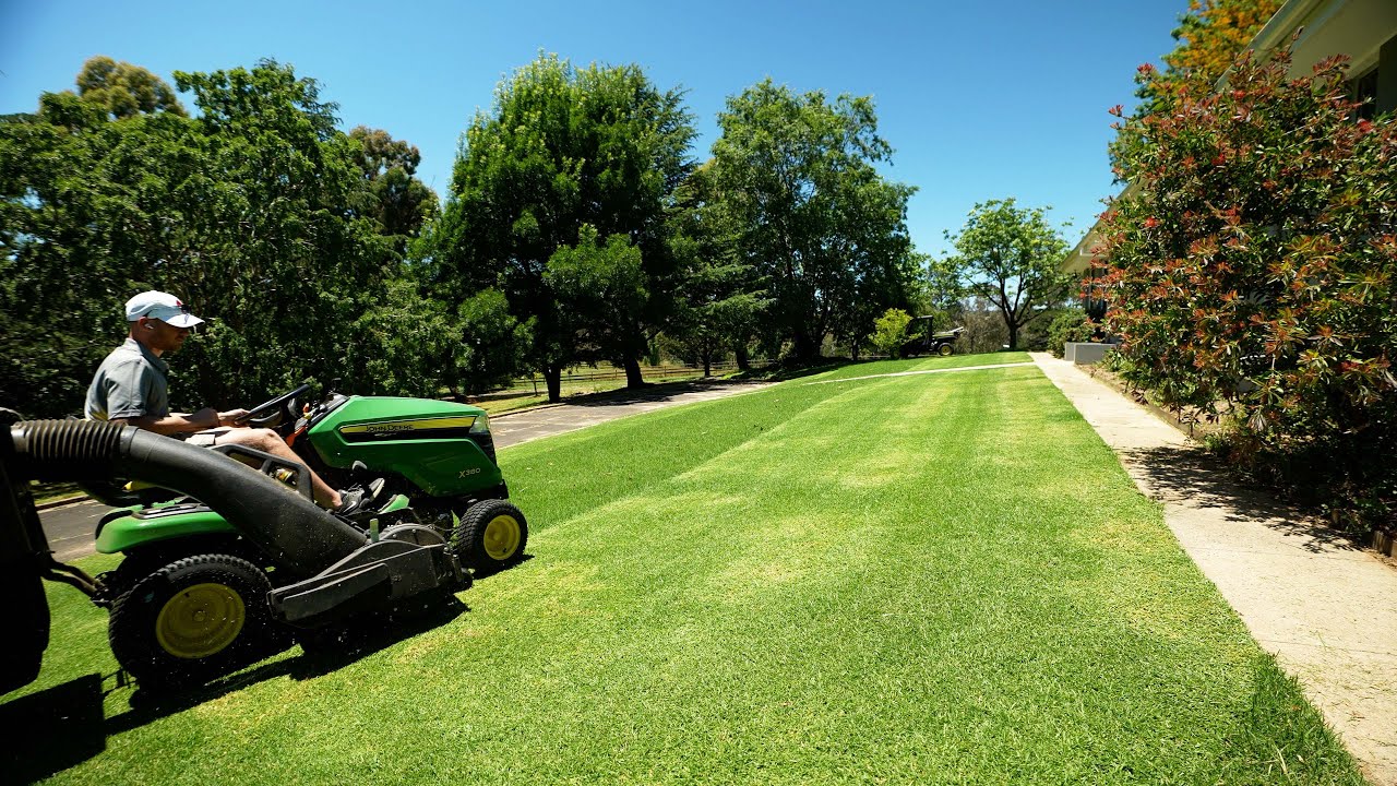 Best Way To Lower Your Lawn For A Reel Mower // Time For a Change