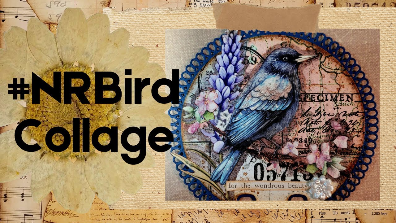 #nrbirdcollage Nellie & Ruth For the Birds Challenge | Who'd In The Kitchen|#surrealcollage #collage