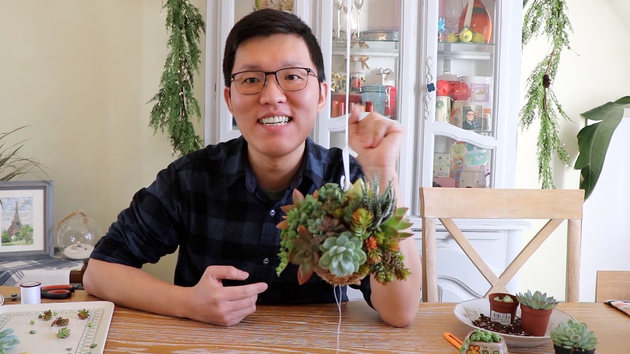 種多肉在苔球上，成品我好喜歡！