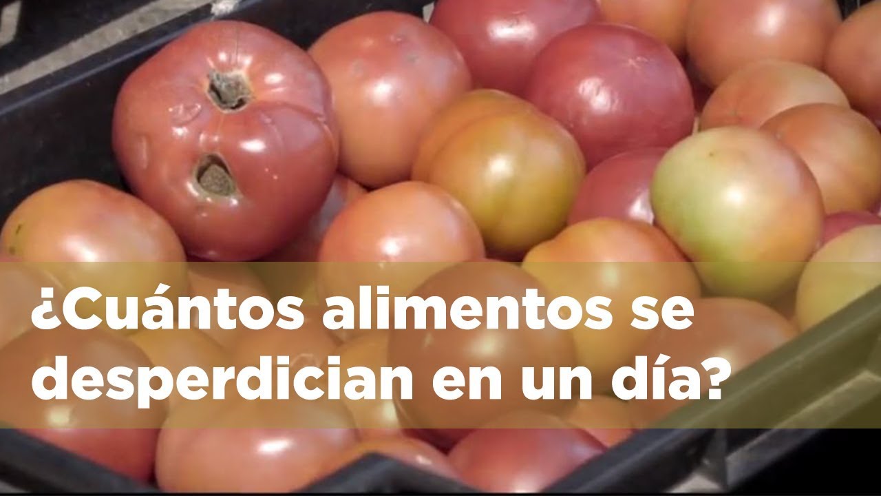 Seguridad alimentaria: la trágica vida de la comida perdida y desperdiciada