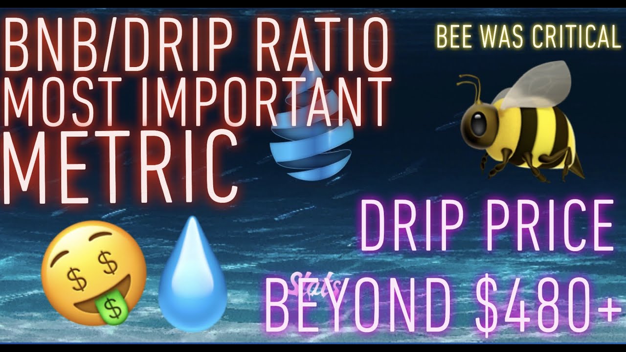The Sky is the Limit for DRIP Price | Understanding BNB/DRIP Ratio | Why the BEE Partnership is Key