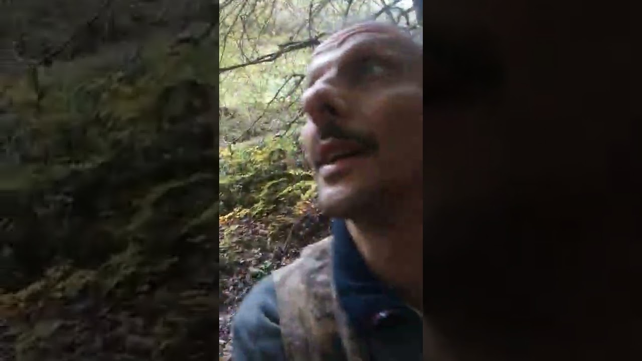 Uncinatum, finalmente si fa sul serio.#tartufo #natura #bosco
