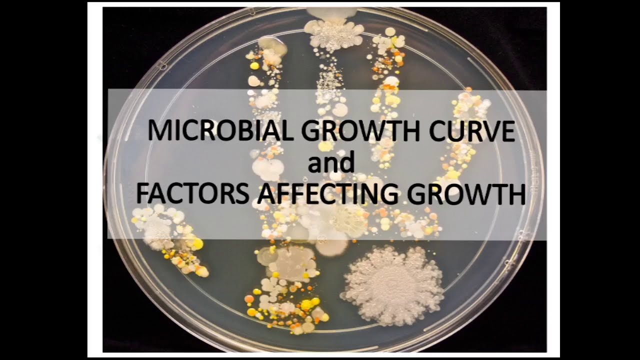 Microbial growth curve and physical parameters (factors) affecting growth of microorganisms