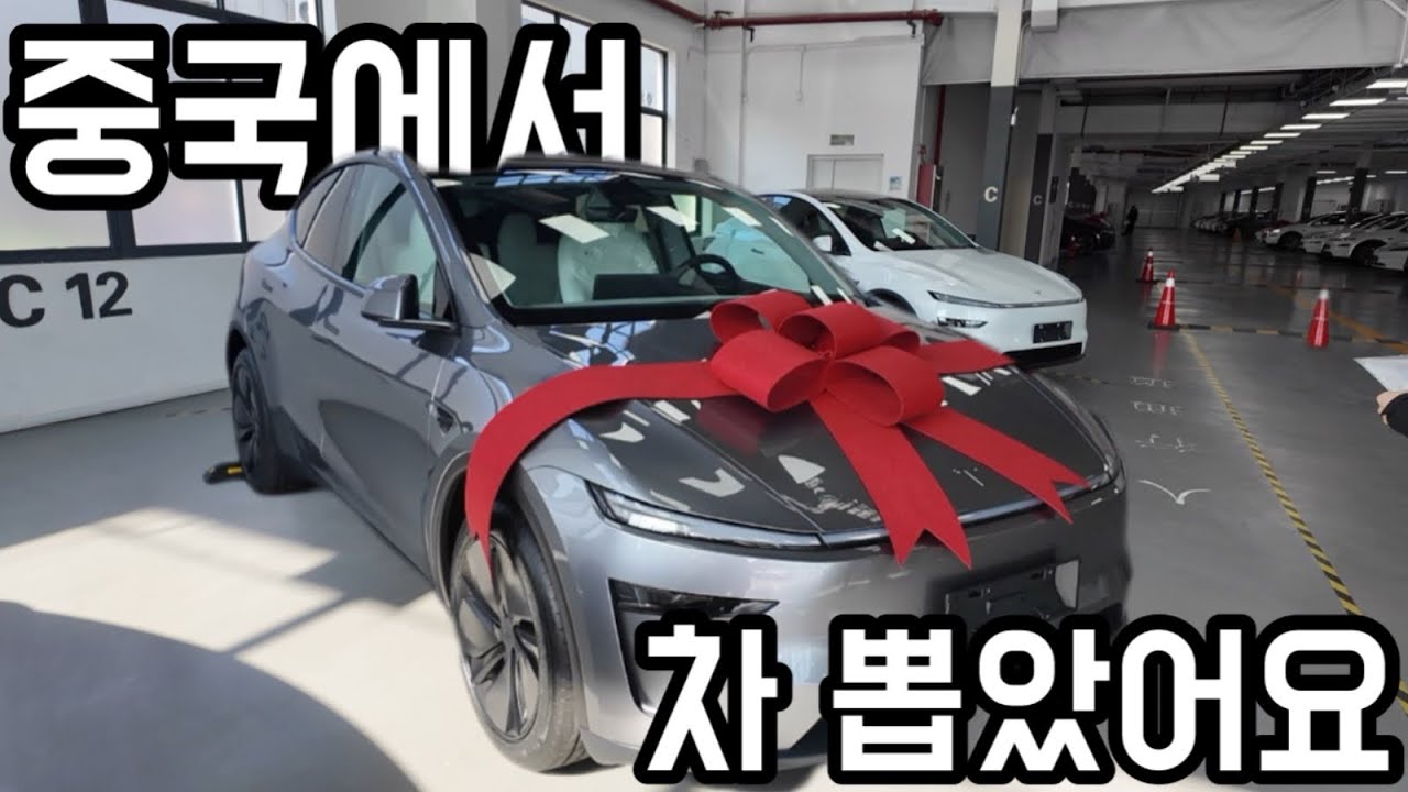 [차량 출고 VLOG] 상하이에서 테슬라 출고했습니다 🚗⚡️