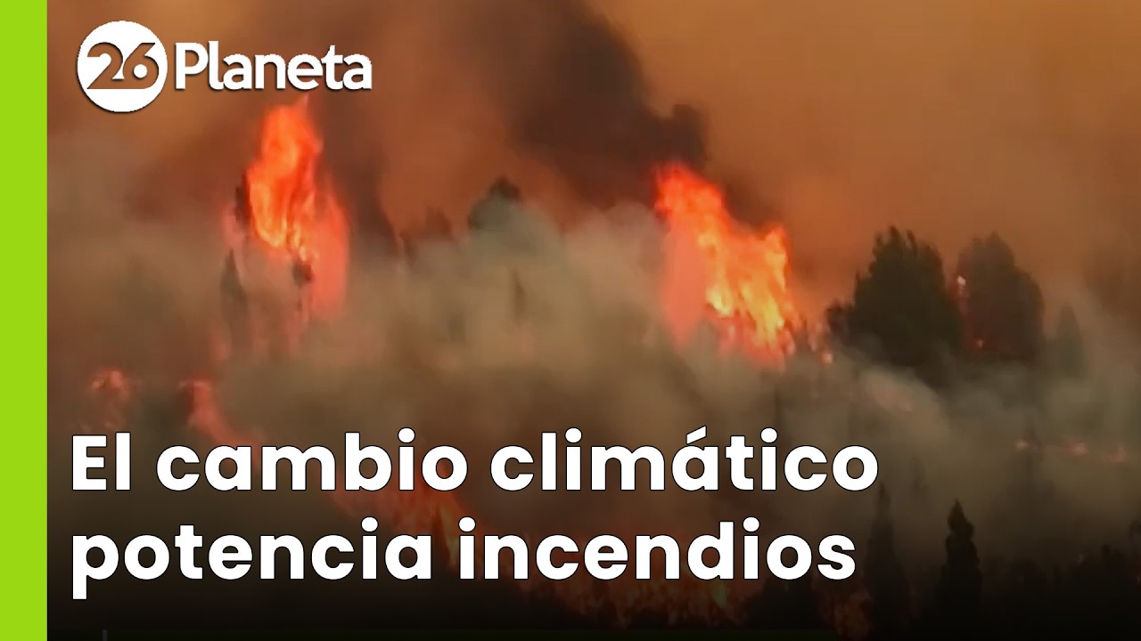 🔥 El cambio climático potenció los incendios forestales en La Patagonia | #26Planeta