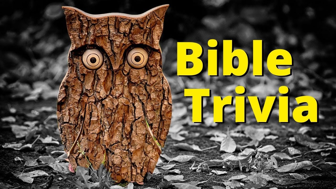 Bible Quiz | Good Mix of Questions - Can You Identify The Theme?