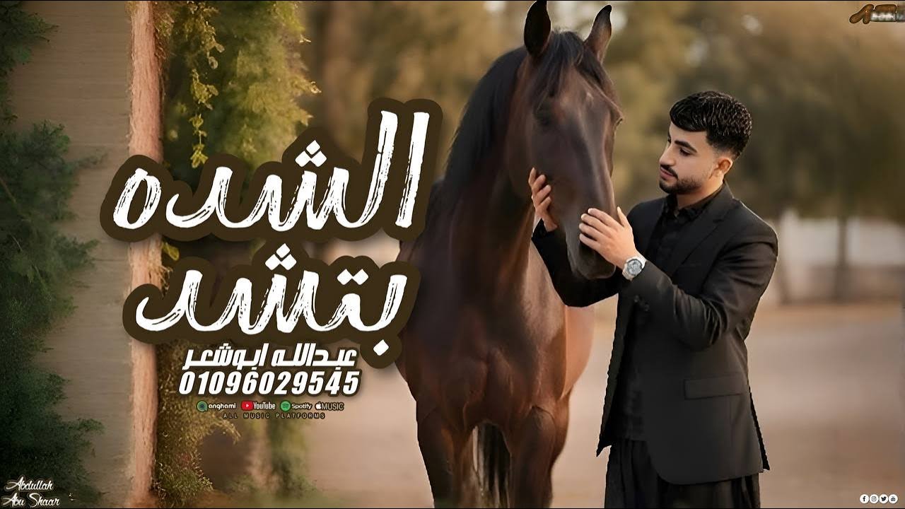 الشده بتشد _جديد وحصري عبدالله ابو شعر2025(من وين يصقر)