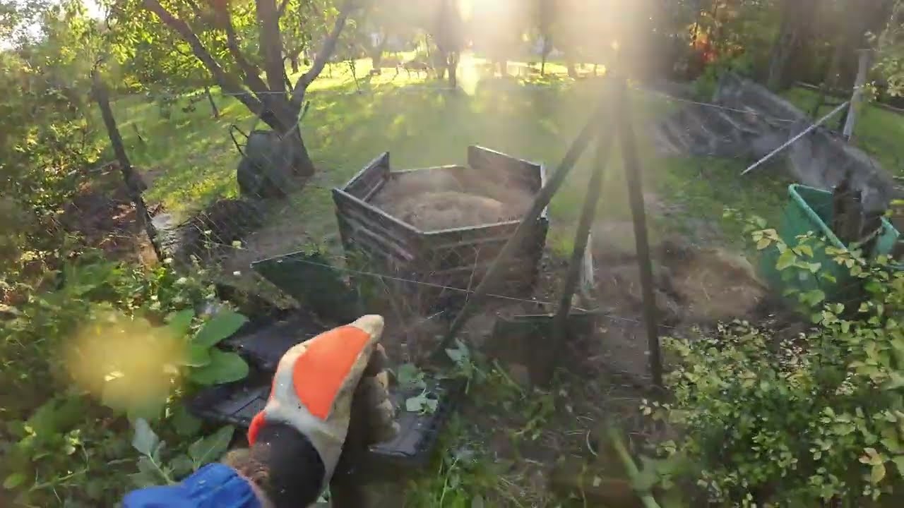 Házikert kaszálása - Stihl fs-460 | Grass cutter ASMR