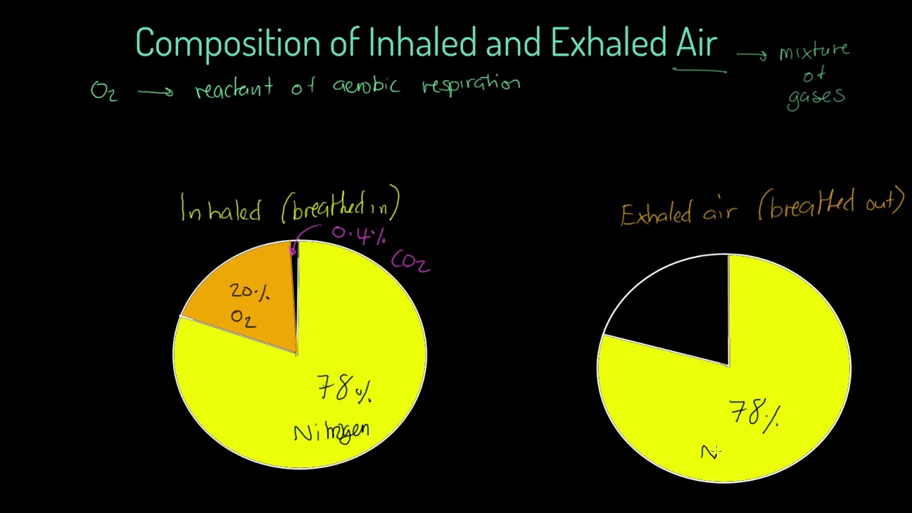 Edexcel GCSE PE - Composition of Inhaled and Exhaled Air