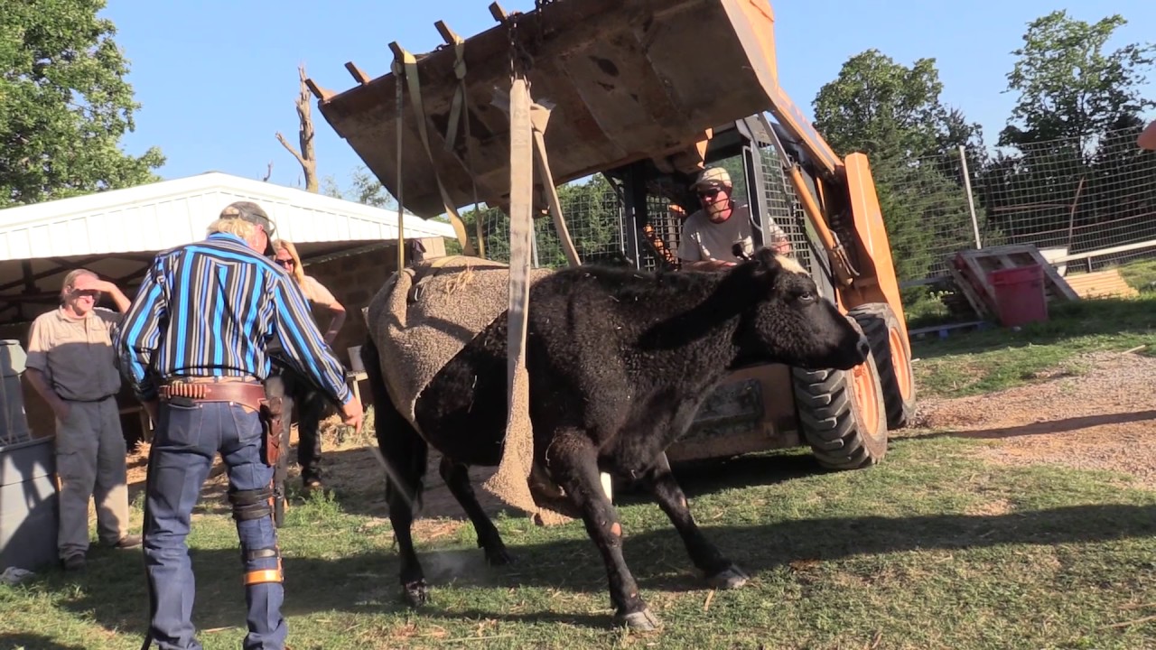 Joe Exotic to the rescue! PT2