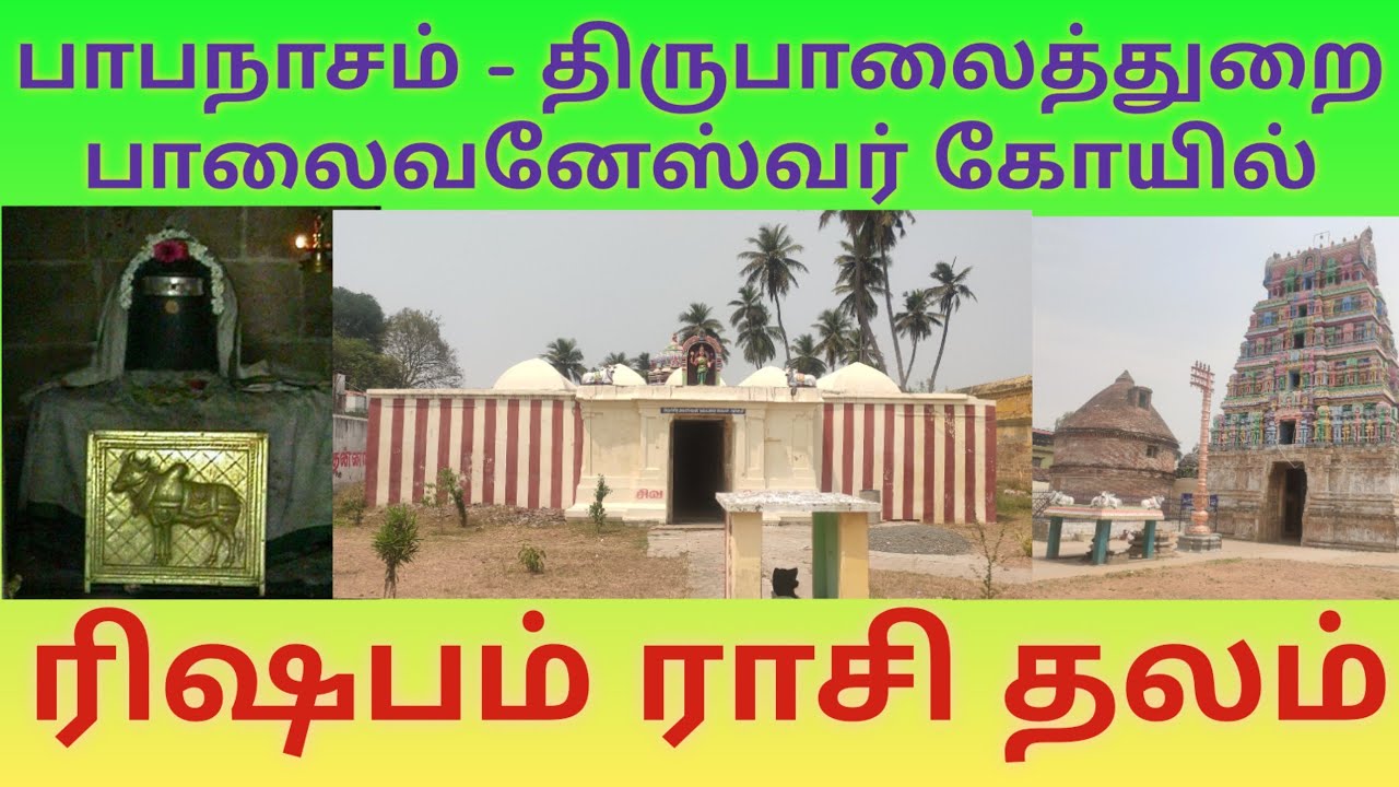 பாபநாசம் திருப்பாலைத்துறை பாலைவனேஸ்வரர் கோயில்| ரிஷபம் ராசி தலம்| Papanasam Palaivaneshwarar Temple