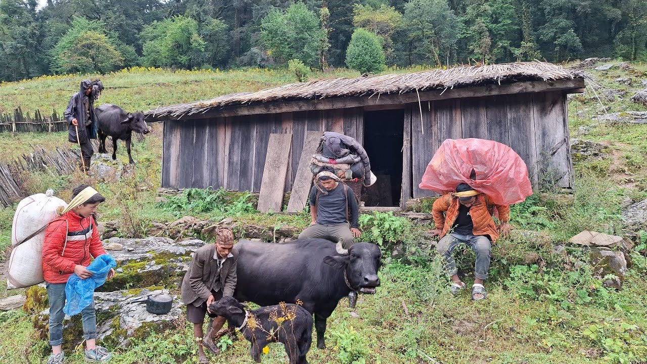 Himalayan Nepali Village life Rainy Season people  Activities In Village | Real Nepali Village Life