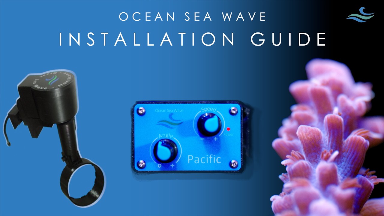 Ocean Sea Wave Installation Guide | Setup & First Use