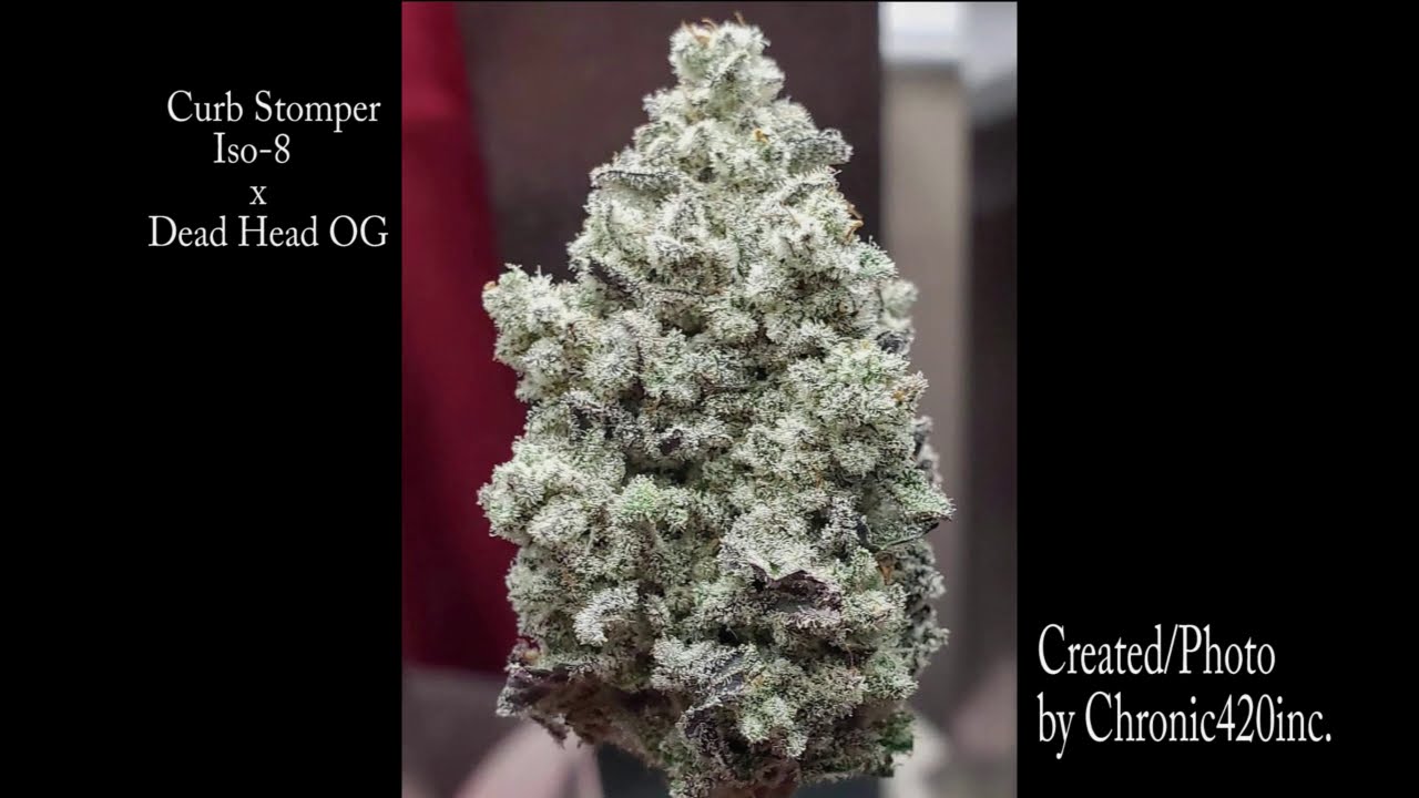 Prism Labs Ep 1 Prism Labs Genetics