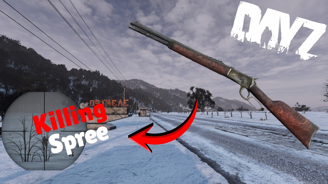 I went on a killing spree in DayZ