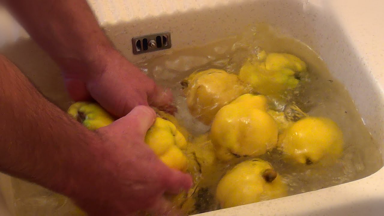 Comment faire de la gelée de coings... ( Quince jelly )