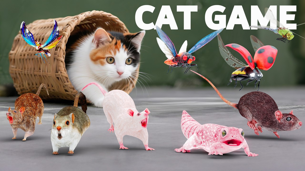 CAT Games - Ultra Realistic 3D CAT TV | Best Videos to Watch for Cats | 9 HOURS 😺 4K60FPS