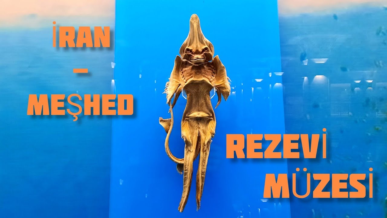 İRAN | Meşhed | Rezevi Müzesi