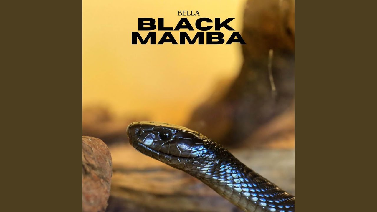 Black Mamba