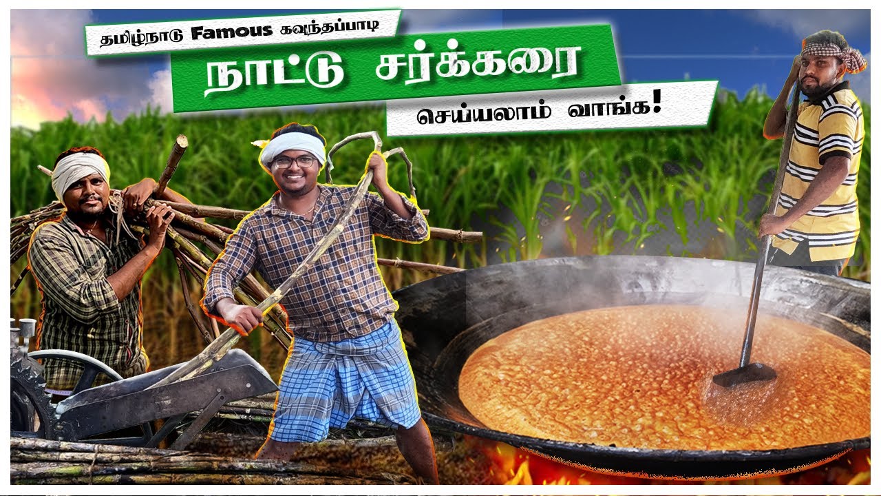 Organic Brown Sugar Making Video in Tamil | Thadi Maadu | 2023