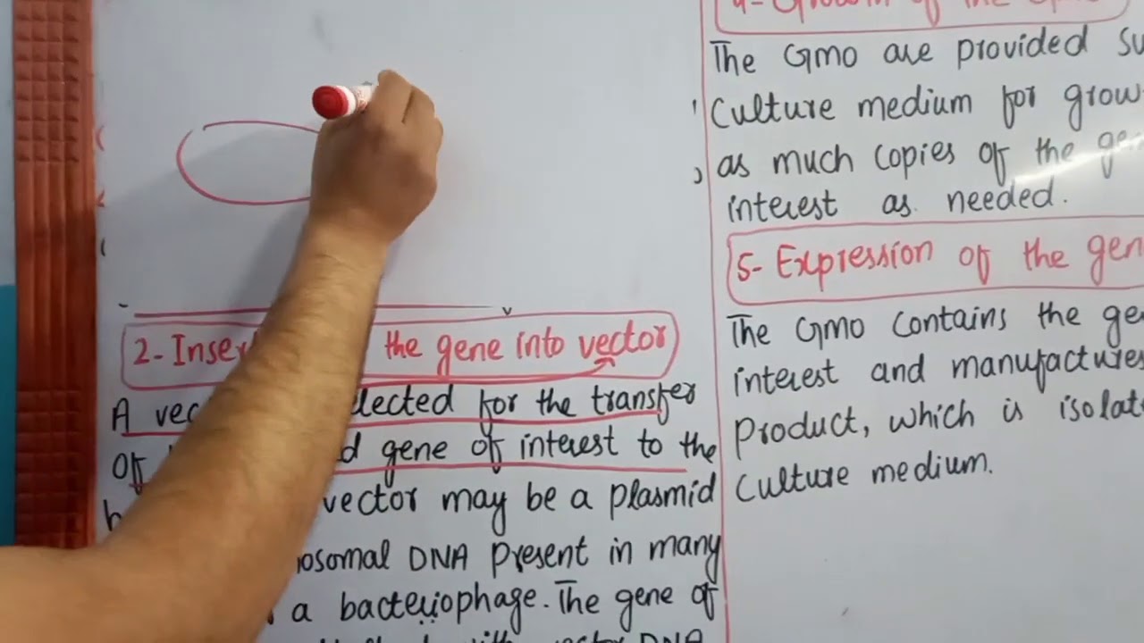 10TH BIOLOGY,CH#17(BIOTECHNOLOGY)LEC#9,BASIC STEPS OF GENETIC ENGINEERING