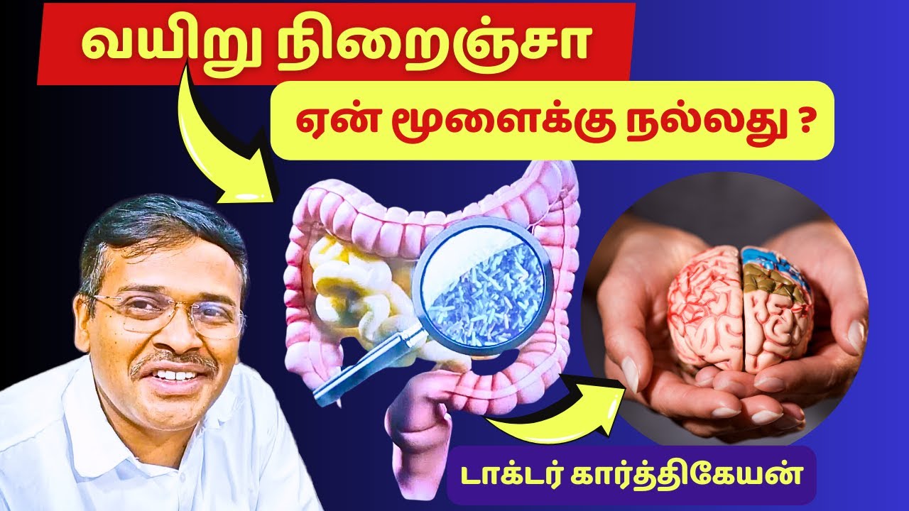 நரம்புகளின் செயல்திறனும் வயிறு செரிமானமும் ஒன்றாகுமா? | is the healthy gut brain axis true?
