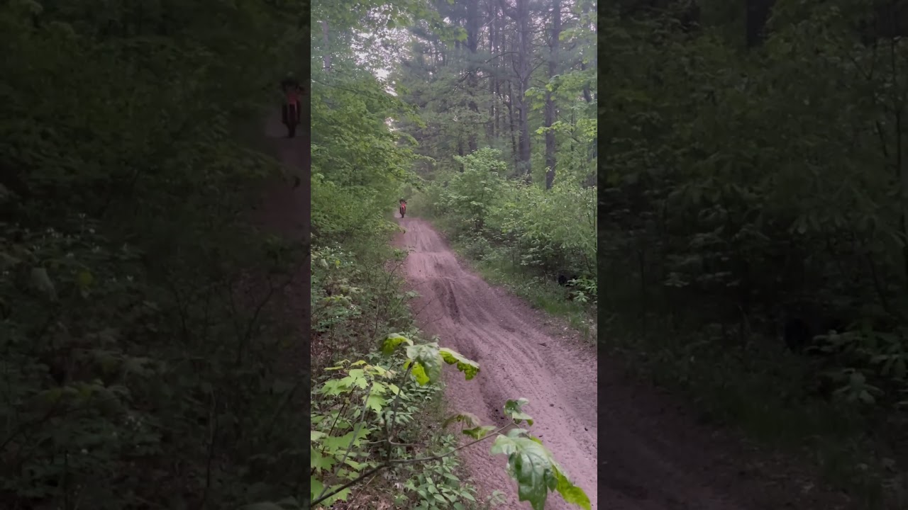 Whoop section on 450 RX