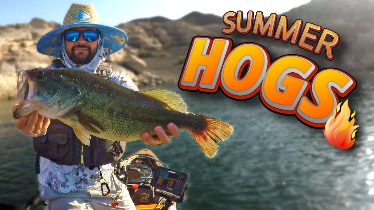 MONSTER Bass in Rising Temps