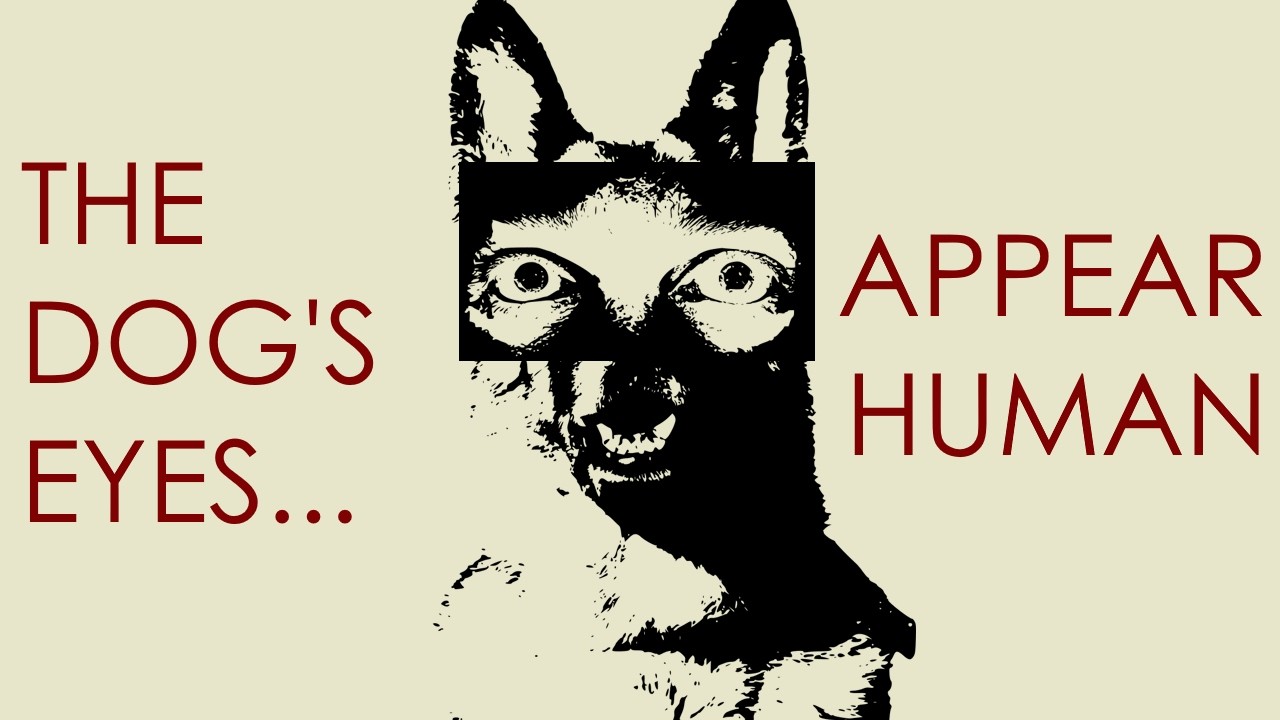 The weirdest horror book I've read this year