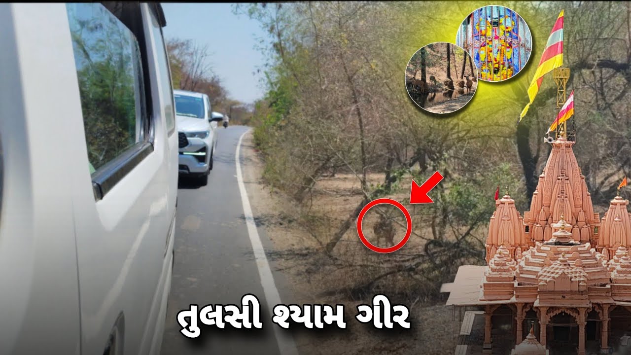 તુલસી શ્યામ ગીર🥰 || Tulsi Shyam gir || રેવતી કુંડ || revati kund
