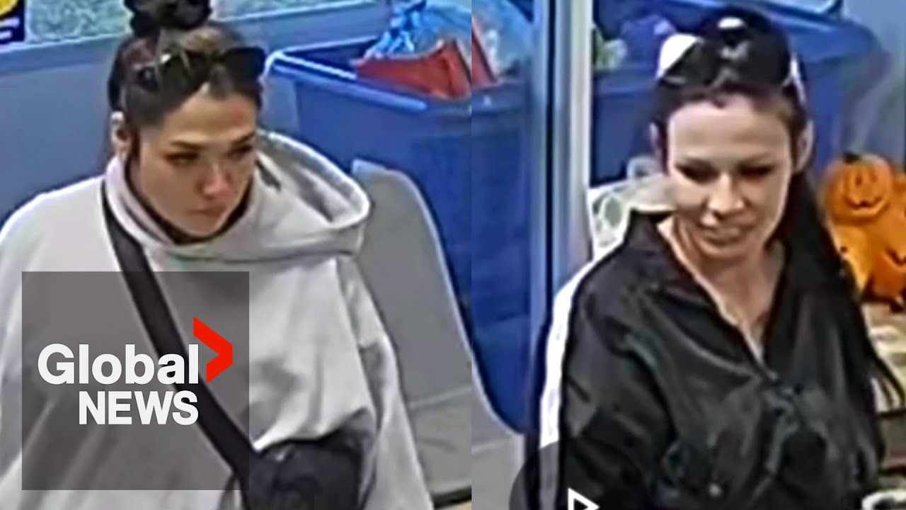 Brazen safe theft caught on video at Edmonton animal rescue: 