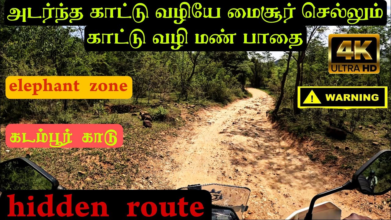 அடர்ந்த காடுகள் வழியே மைசூர் செல்லும் காட்டு வழி மண் பாதை|elephant zone|river crossings#kadambur